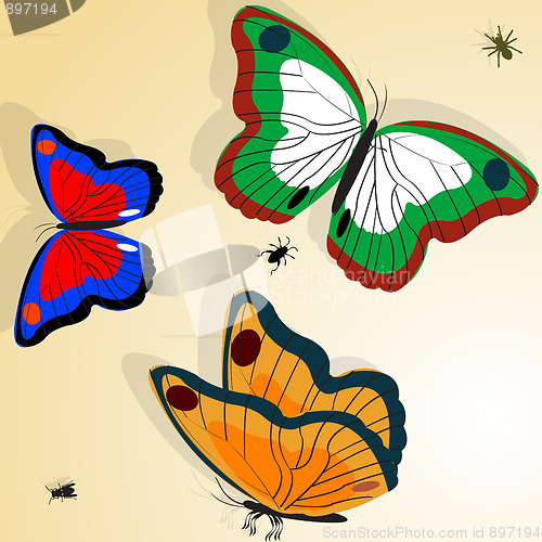 Image of Buterflies illustration