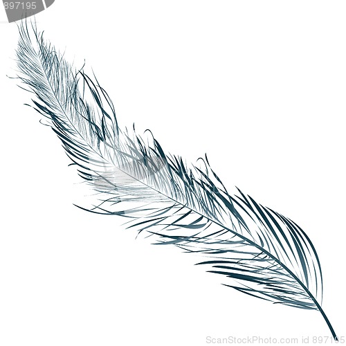 Image of Blue feather