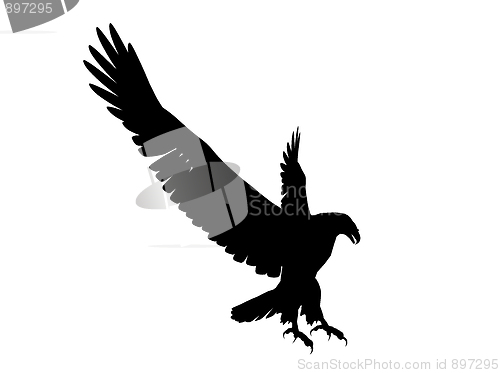 Image of Eagle Silhouette