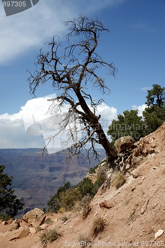 Image of Grand Canyon National Park, Arizona, USA 