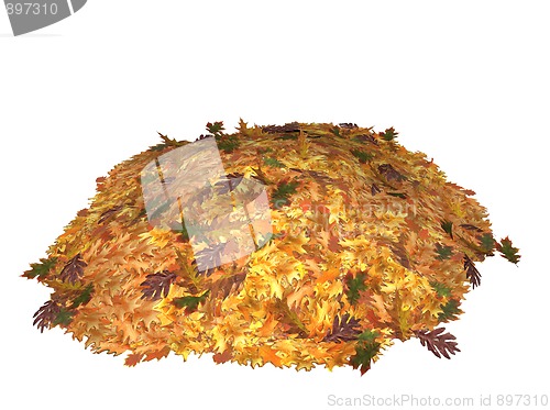 Image of Oak tree leaves