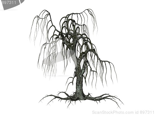 Image of Creepy tree