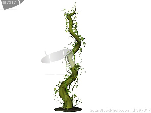 Image of Beanstalk
