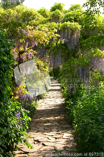Image of Spring Path