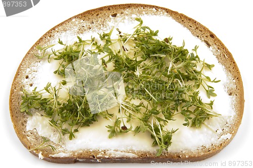 Image of Cress on bread