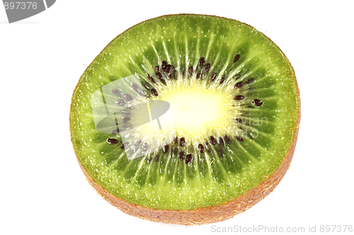 Image of Kiwi