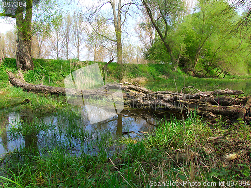 Image of Nature Reserve