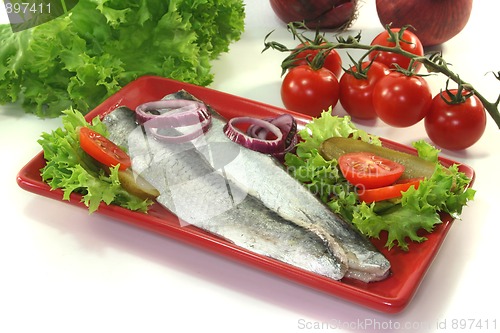 Image of Herring