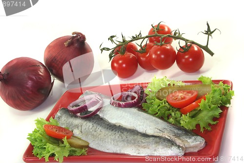 Image of Herring