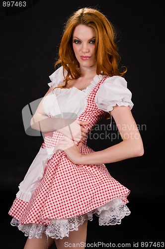 Image of Redhead