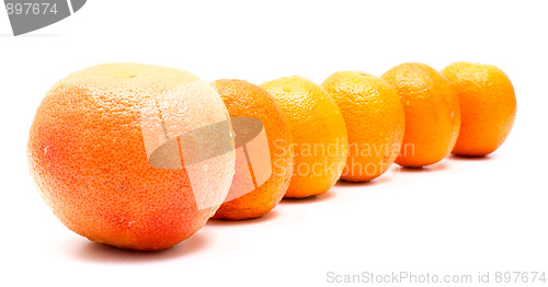 Image of Row of oranges