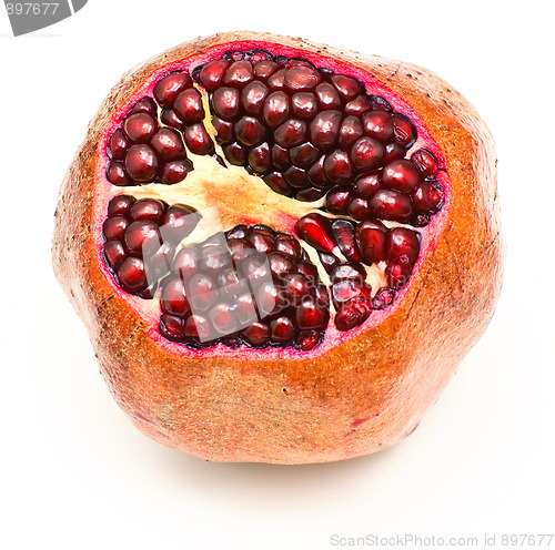 Image of Ripe pomegranate