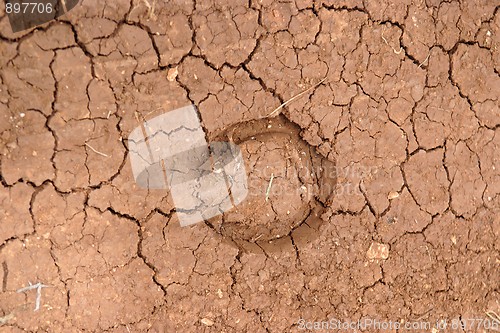 Image of Horseshoe footprint in cracked ground in drought