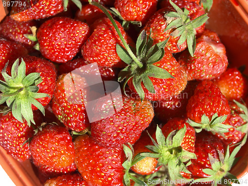 Image of Strawberries