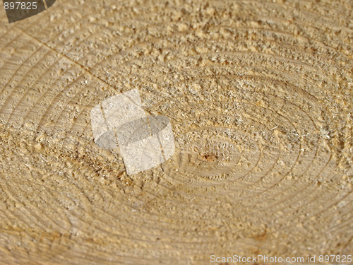 Image of Wood rings