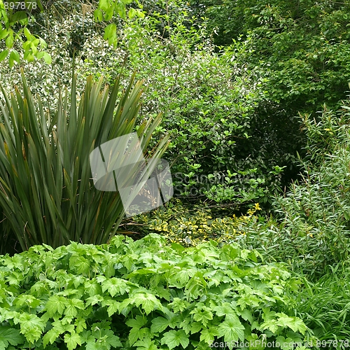 Image of Greenery background