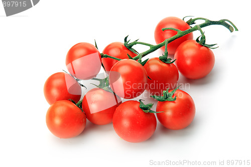 Image of The fresh red tomato 