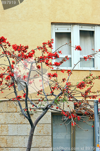 Image of Urban landscape