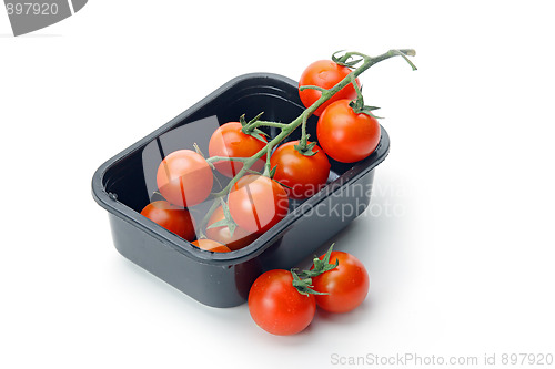 Image of The fresh red tomato 