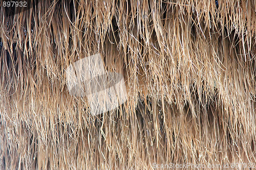 Image of The hay.