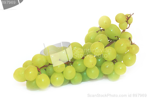 Image of Grapes isolated on white