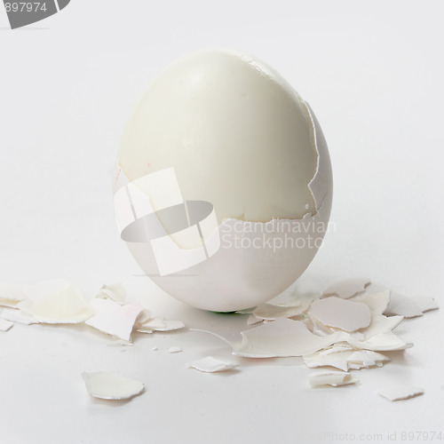 Image of White egg