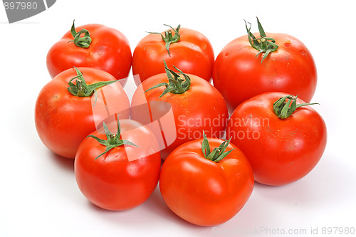 Image of Many tomatoes