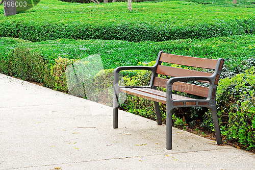 Image of The bench