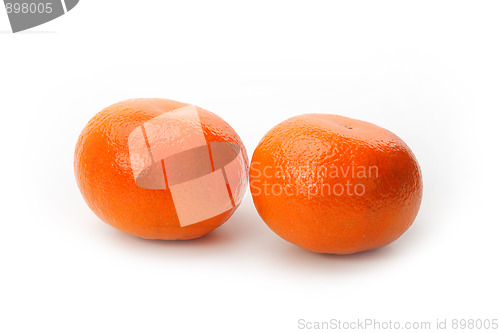 Image of Red mandarin