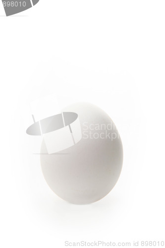 Image of White egg