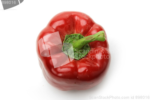 Image of Red pepper