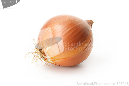 Image of Tasty kitchen. Fresh vegetables isolated on white