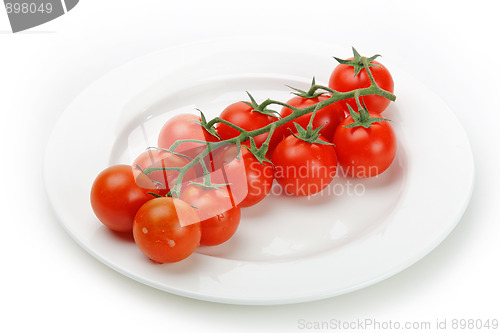 Image of The fresh red tomato 