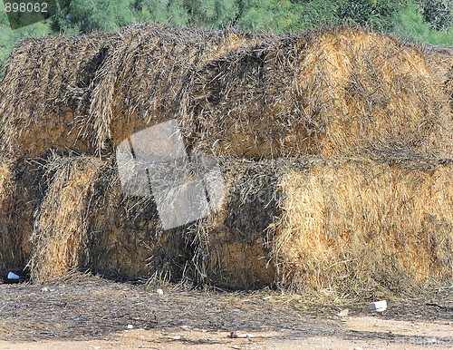 Image of The hay.