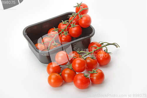 Image of The fresh red tomato 