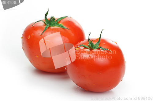 Image of The fresh red tomato 