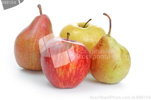 Image of The closeup of various fruits