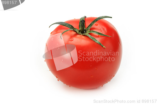 Image of Tasty kitchen. Fresh vegetables isolated on white