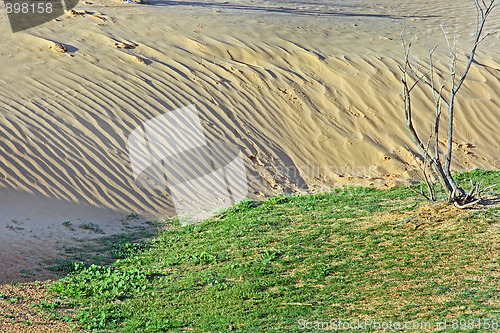 Image of The spring in the desert