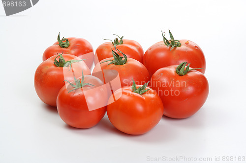 Image of Many tomatoes
