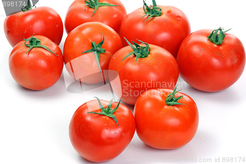 Image of Many tomatoes