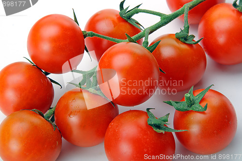 Image of The fresh red tomato 