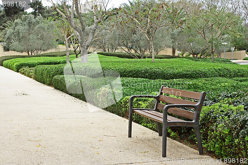 Image of The bench