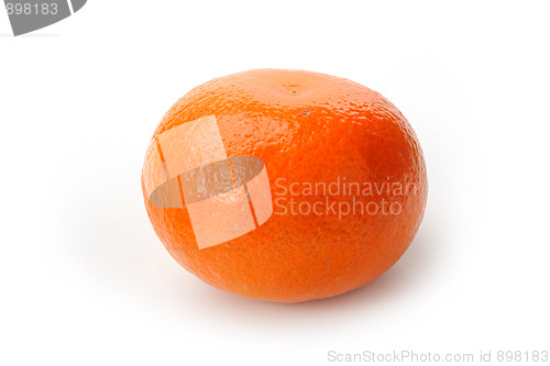 Image of Red mandarin