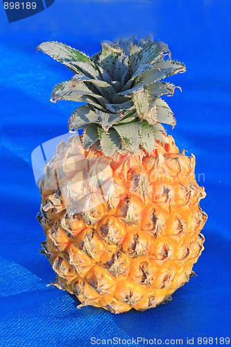 Image of Fresh yellow pineapple 