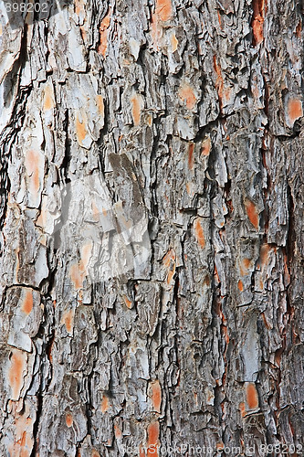 Image of Wooden texture