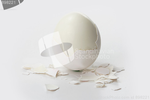 Image of White egg