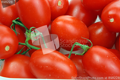 Image of Many tomatoes