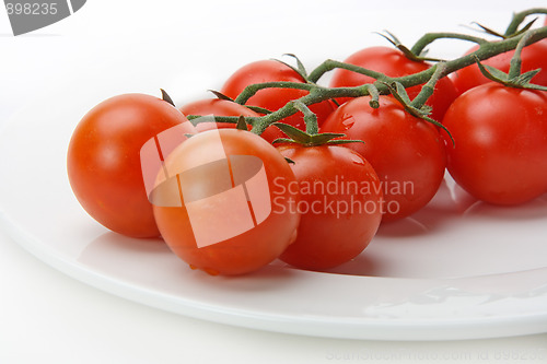 Image of The fresh red tomato 