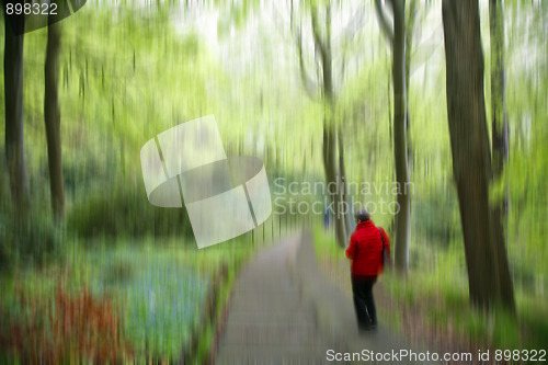 Image of Springtime park
